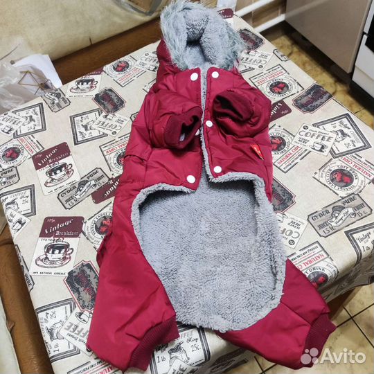 Комбинезон для небольшой собаки