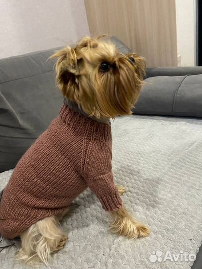 Продам вязаный комбинезон для собаки