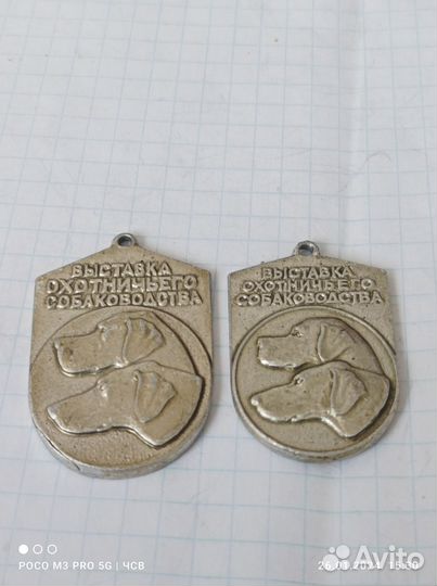 Медальки собачки
