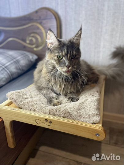 Лежанка для животных