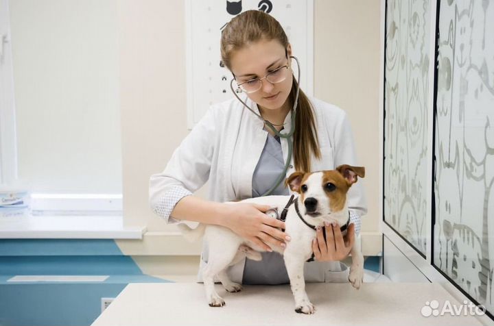 Передержка кроликов, грызунов, птиц