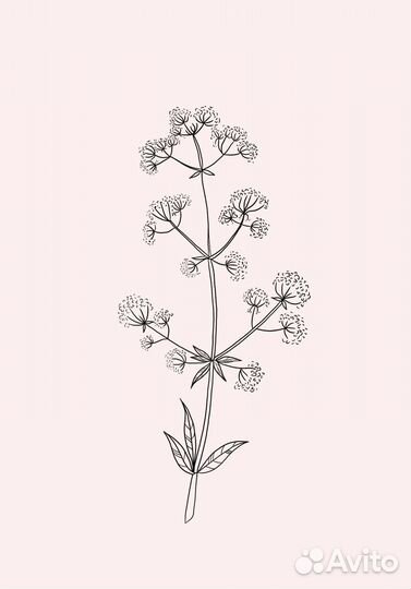 Модель для тату