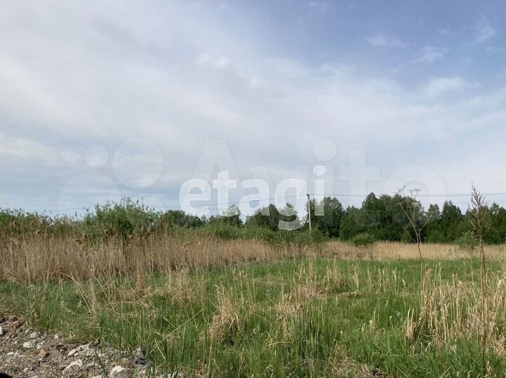 Участок 10,4 сот. (СНТ, ДНП)