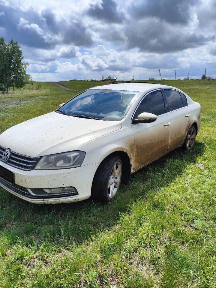 Volkswagen Passat: фото владельца