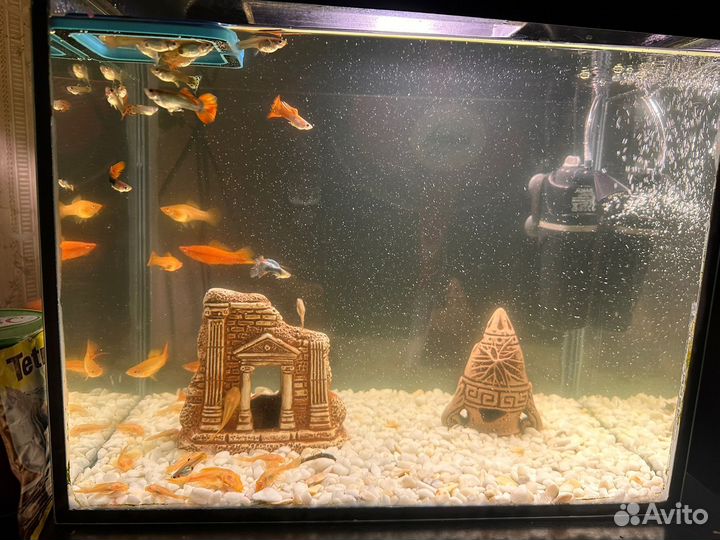 Аквариум