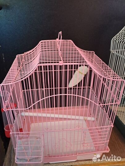 2 Клетки для попугаев.Круглая и Большая