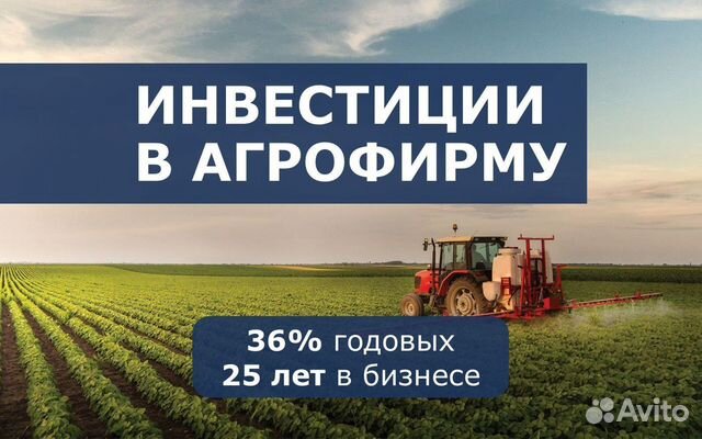 Инвестиции в аграрный бизнес: 36% годовых