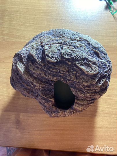 Кормушка и влажная камера