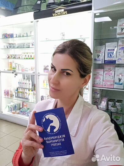 Кастрация кота 2000