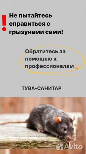 Дезинфекция
