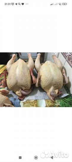 Куры бройлеры тушки мясо