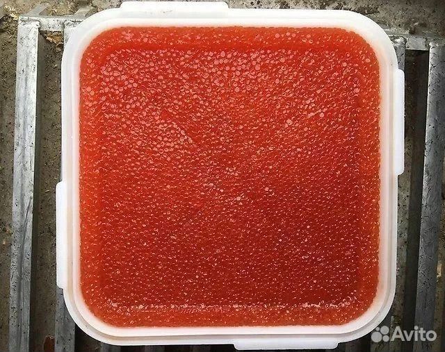 Красная икра горбуши