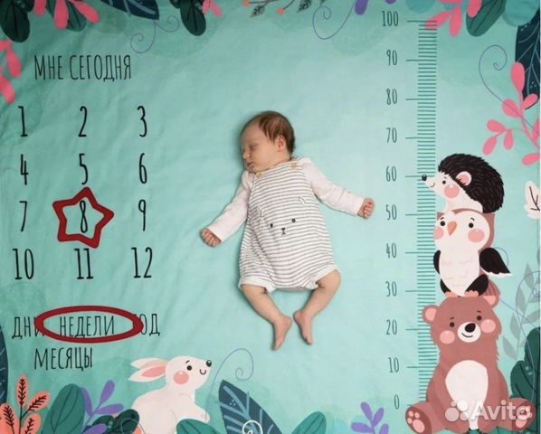 Фотоплед флисовый с рамками