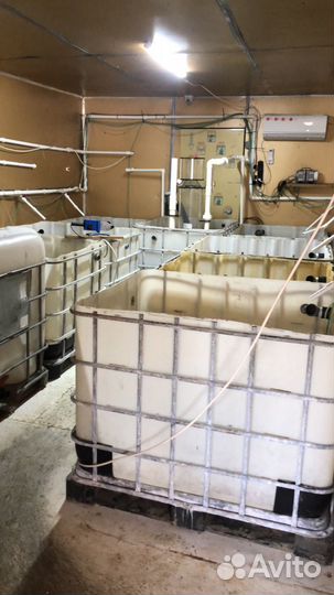 Изготовление аквариумов и узв