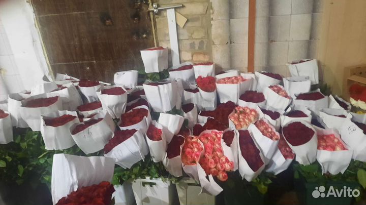 Розы от 40 см до 1 метра