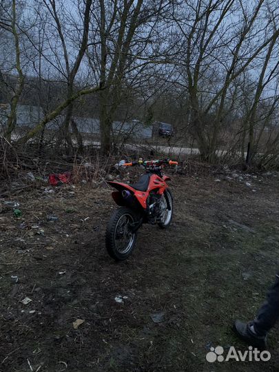 Ирбис ттр 250