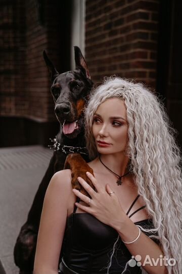 Фотосессия с Доберманом