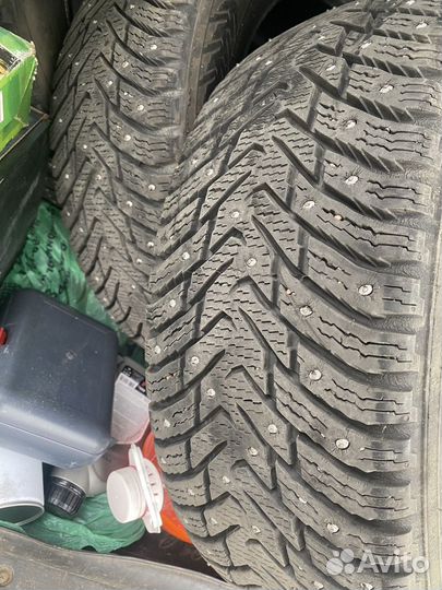 Nokian Tyres Hakkapeliitta 8 205/55 R16