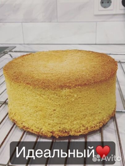 Заготовка для торта бисквит