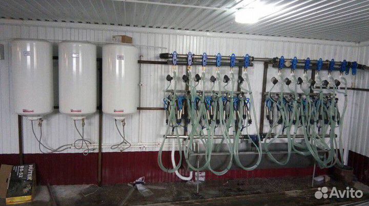 Молокопровод на 50 голов,доильный зал