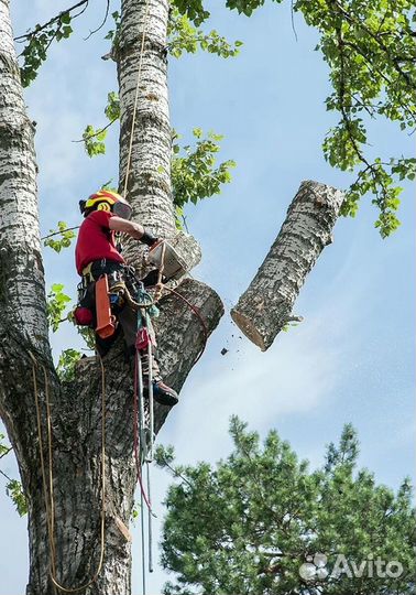 Вывоз мусора