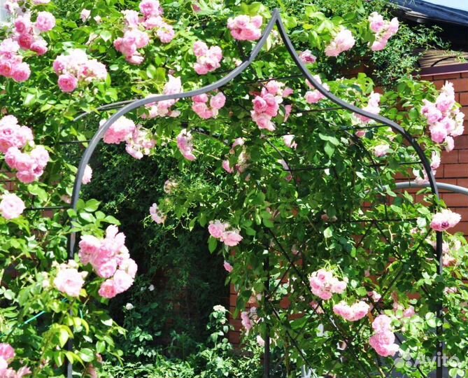 Арка садовая опора металлическая для растений