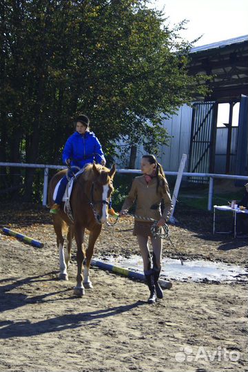 Иппотерапия, обучение верховой езде