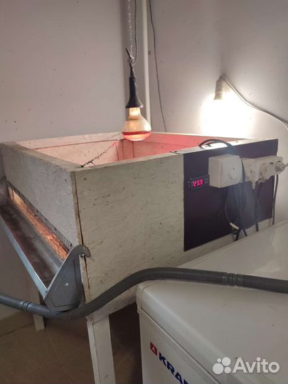 Брудер для цыплят бу