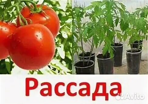 Для сада и огорода