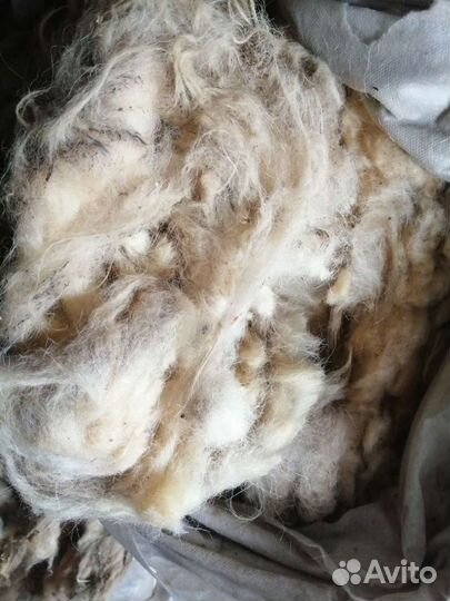 Шерсть овечья