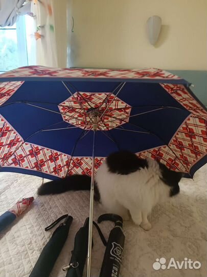 Зонтик женский, мужской