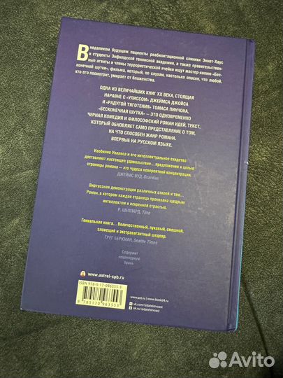 Бесконечная шутка Роман, Дэвид Фостер Уоллес