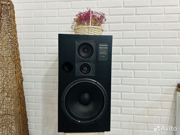 Корвет 150ас-001М