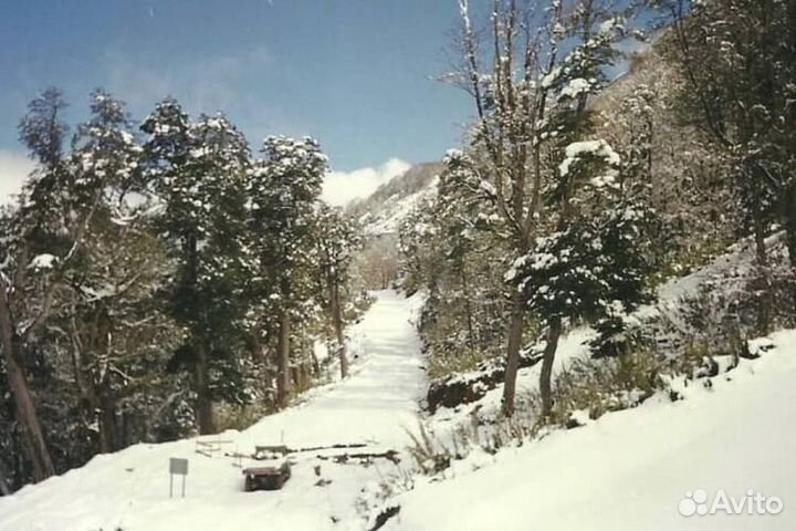 Пленочный фотоаппарат Kodak Star FF