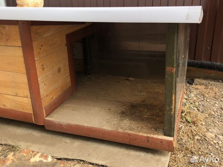 Собачья будка