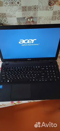 Acer extensa 2519