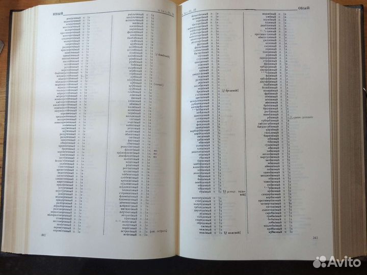 Грамматический словарь русского языка