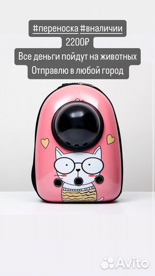 Переноска для кошек новая