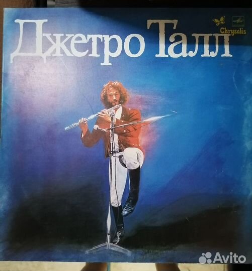 Джетро Талл