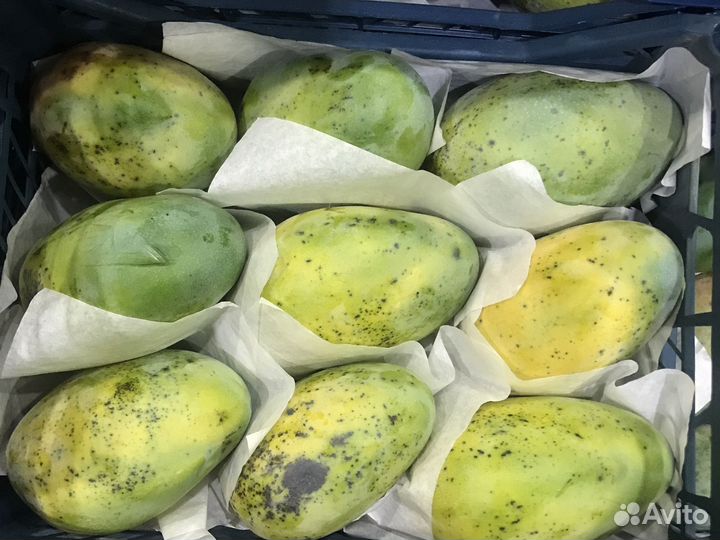 Манго Египет 2 сорт