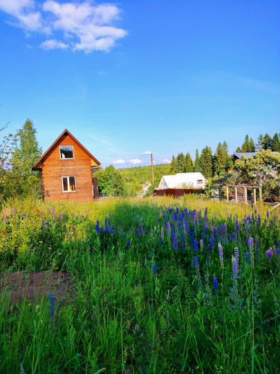 Дача 48 м² на участке 8 сот.