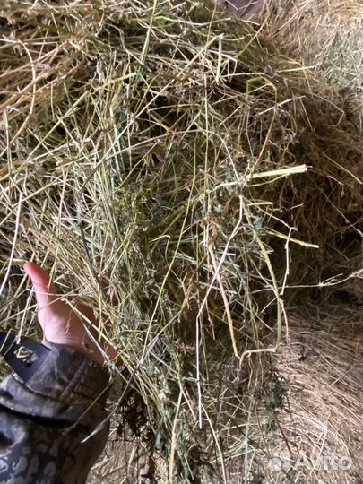 Сено в рулонах, 145 Размер