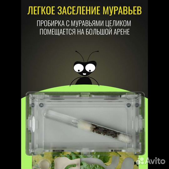 Муравьиная ферма Стандарт. В наличии, с муравьями