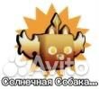 Солнечная собака arm wrestle