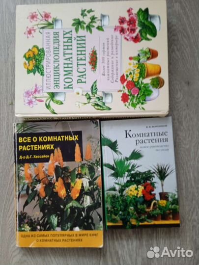 Энциклопедия комнатных растений, лучшие цветы