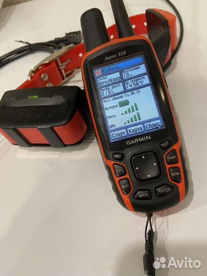 Навигатор Garmin Astro 320 с ошейником T5 (Россия)