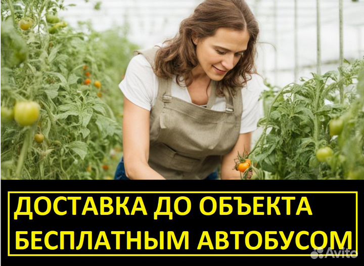 Вахта Сборщик(ца) в тепличный комплекс