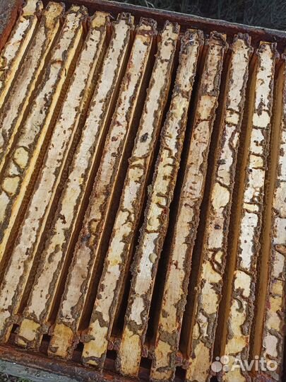 Сушь для пчел, ульи, магазины