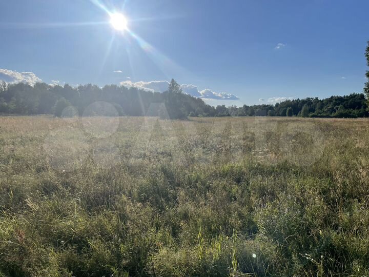 Участок 9,19 га (СНТ, ДНП)