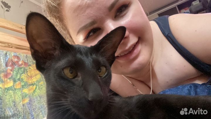 Няня для ребёнка у себя дома (бебиситер)